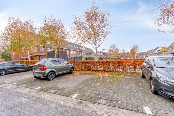 FREYJAPLANTSOEN 3-35.jpg